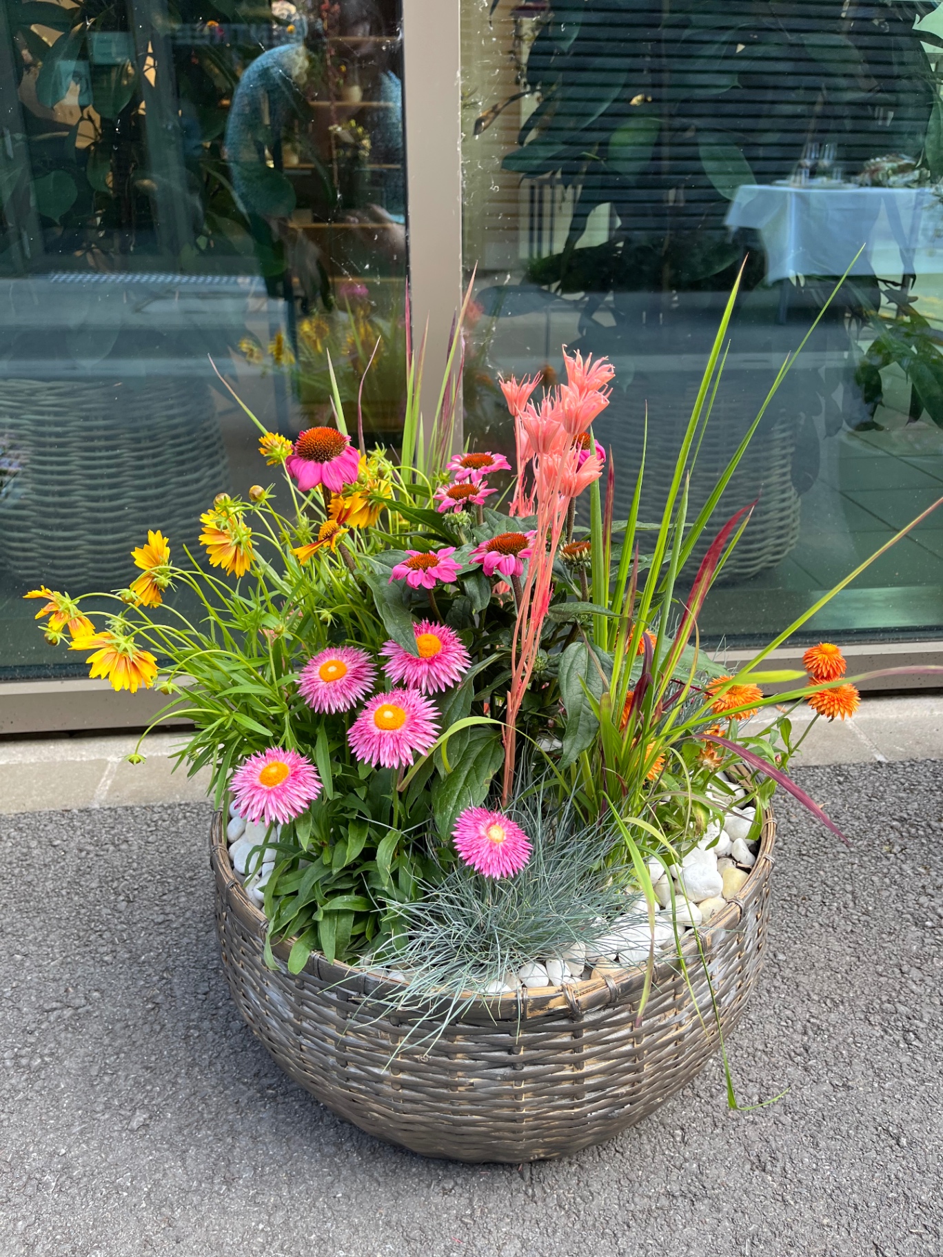 Farbenfrohe Außenbepflanzung für den Sommer